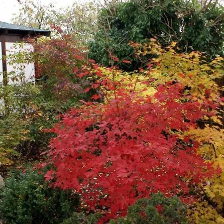 Maison Art Et Jardin *