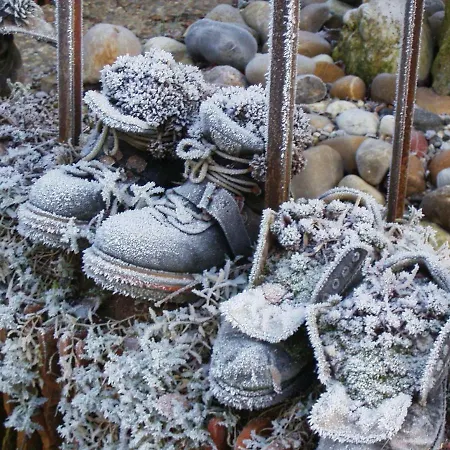 아파트 Maison Art Et Jardin *